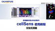 cellSens分析 计测01-交互式计测