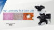 BX53:High Luminosity True Color LED