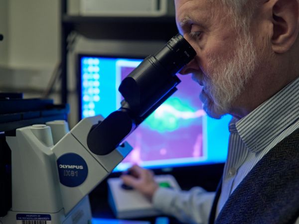 Finding a cure for deafness using microscopes