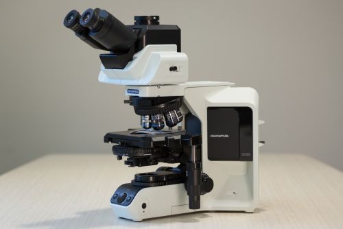 Olympus BX53 microscope